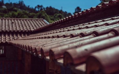 Shingle Roof Tile Replacement in Boynton Beach: What You Need to Know