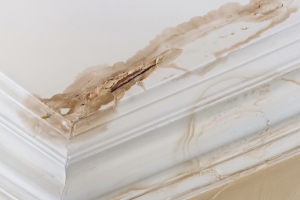 Water damage along a white wall and baseboard with peeling paint and warped plaster, near the corner cutout.