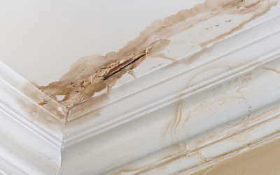 Leaky Roof Repair Cost: What Homeowners Actually Pay in South Florida…