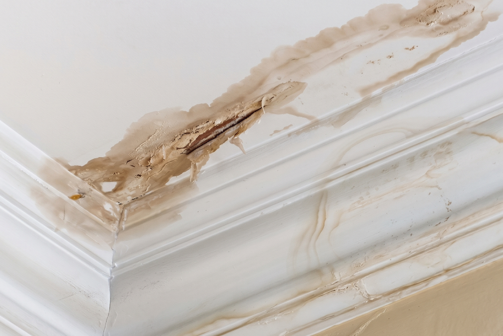 Leaky Roof Repair Cost: What Homeowners Actually Pay in South Florida…