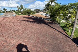 Brown asphalt shingle roof viewed from above, with palm trees and a sunny neighborhood in the background; a shadow of the photographer is visible on the roof.