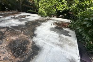 Flat concrete roof with dark damp stains and small vent pipes, bordered by green shrubs on three sides.