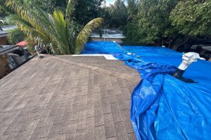 Rooftop with brown shingles partially covered by blue tarps, vent pipes and surrounding palm trees in the background—likely under repair/covering.