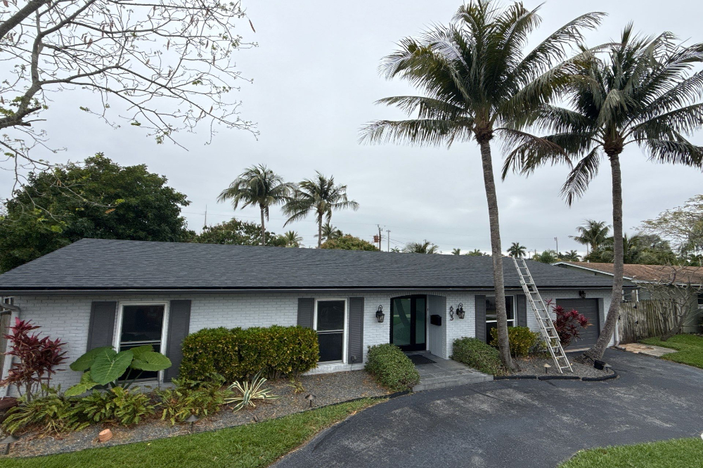 Single-story white brick house with dark shutters, palm trees, and a metal ladder leaning against the roof near the front entrance.