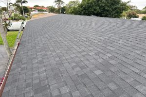 Wide view of a gray shingled roof with a ladder propped along the left edge and trees and a street in the background.