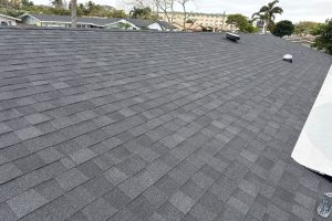 Wide view of a gray asphalt shingle roof with roof vents and palm trees and houses in the background.